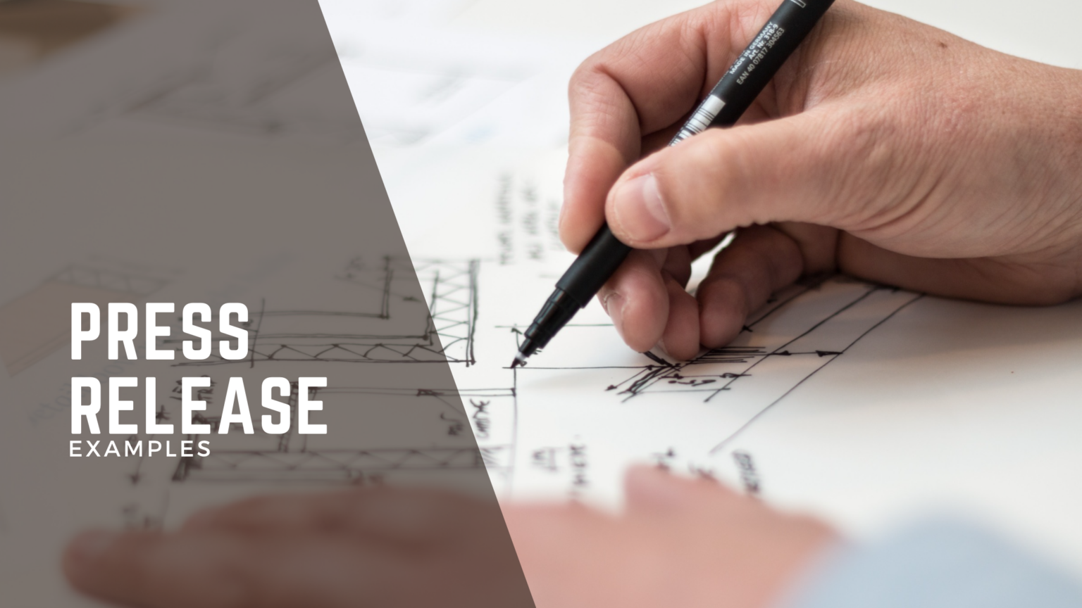 Press Release Examples Brander